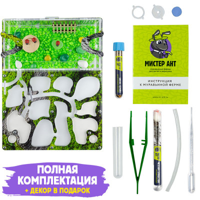 Комплект муравьиной фермы Медиум "Горный мох" Комплект муравьиной фермы Медиум "Горный мох"